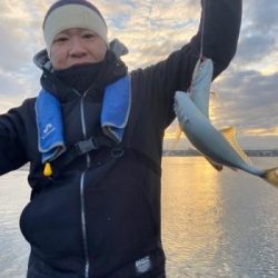 シーマジカル 釣果