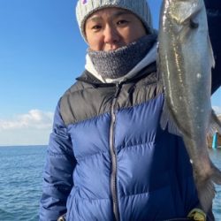 シーマジカル 釣果