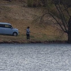 志高湖フィッシング 釣果