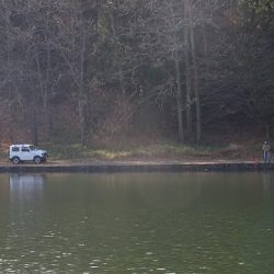 志高湖フィッシング 釣果