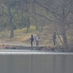 志高湖フィッシング 釣果