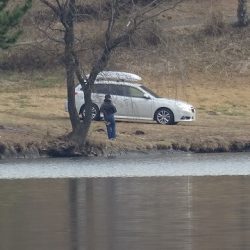 志高湖フィッシング 釣果