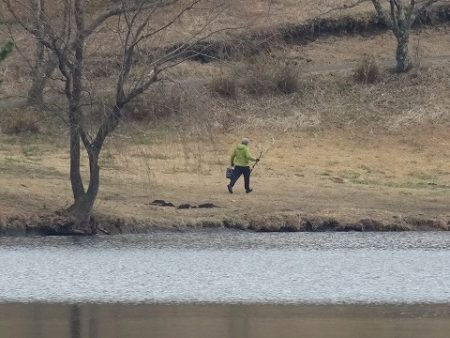 志高湖フィッシング 釣果