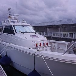 フィッシングボートACE(エース) 釣果