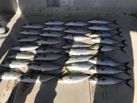 釣り船角田 釣果