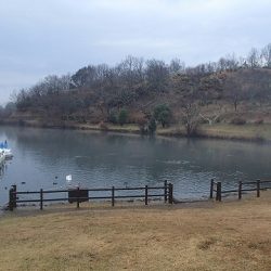 志高湖フィッシング 釣果