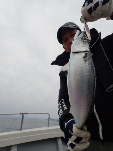 Aquanaut(アクアノート) 釣果