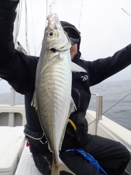 Aquanaut(アクアノート) 釣果