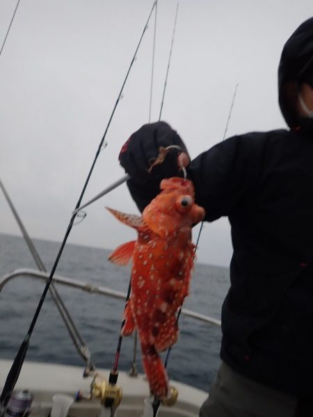 Aquanaut(アクアノート) 釣果