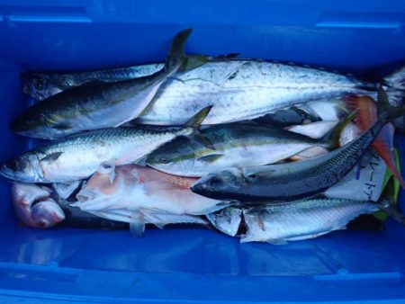 Aquanaut(アクアノート) 釣果