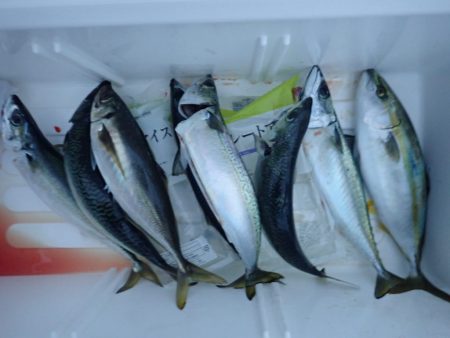 Aquanaut(アクアノート) 釣果