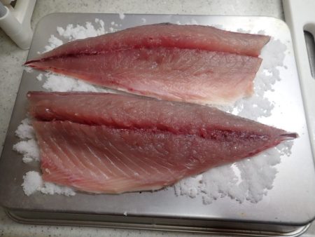 Aquanaut(アクアノート) 釣果