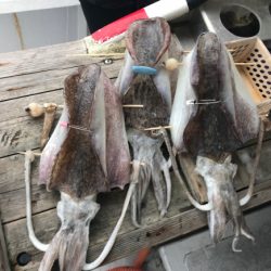 まると屋 釣果