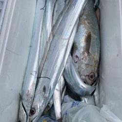 さんさん丸 釣果