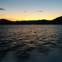 シーモンキー 釣果