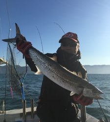 シーモンキー 釣果