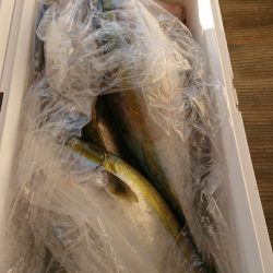 FISHING RISKY 釣果