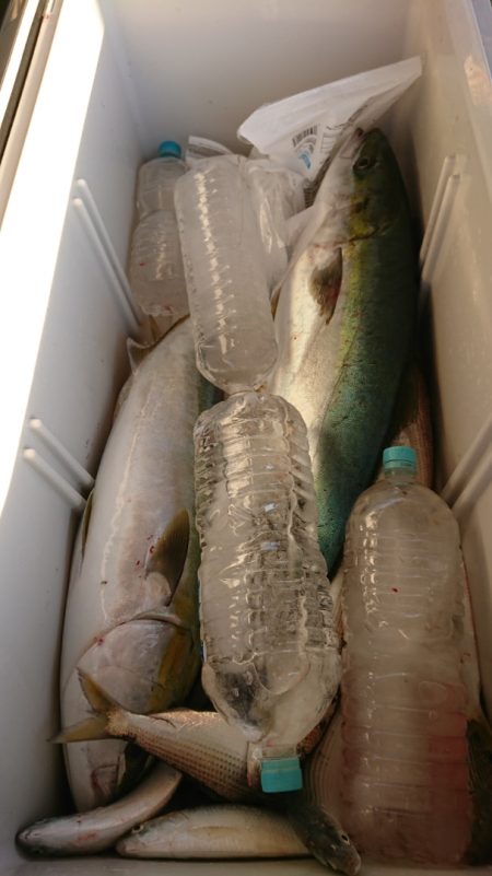 FISHING RISKY 釣果