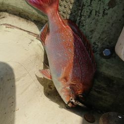 FISHING RISKY 釣果