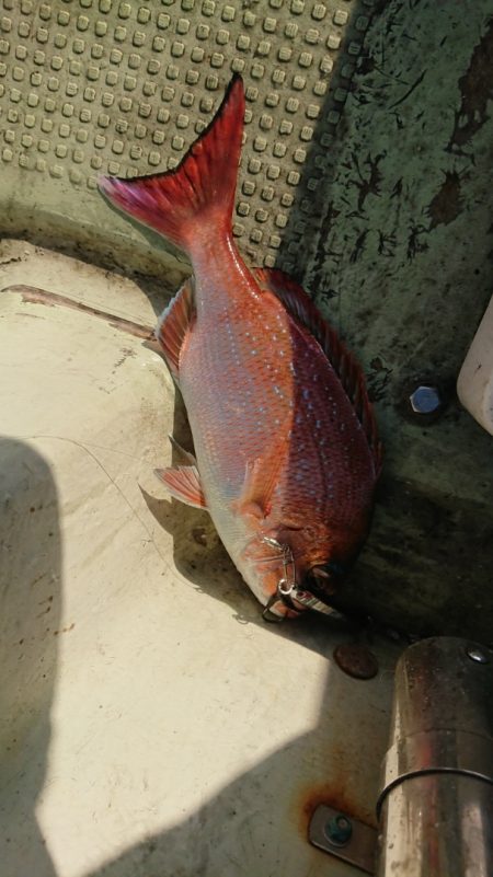 FISHING RISKY 釣果