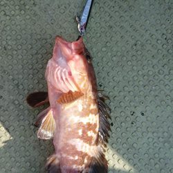 FISHING RISKY 釣果