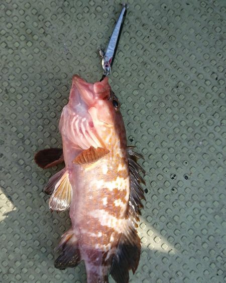 FISHING RISKY 釣果