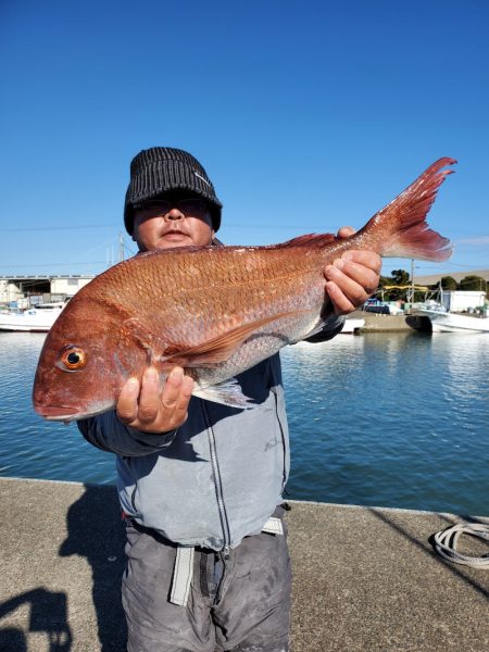 富士丸 釣果