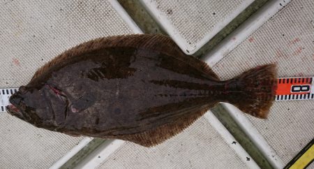 FISHING RISKY 釣果