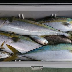 FISHING RISKY 釣果