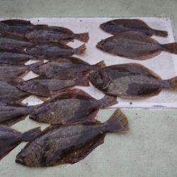 FISHING RISKY 釣果