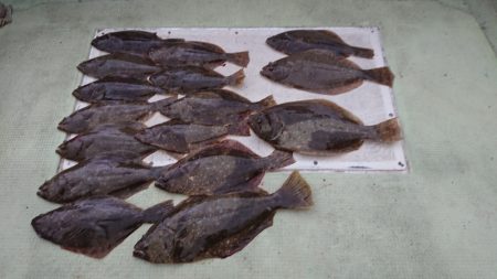 FISHING RISKY 釣果