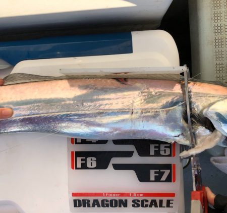 フィッシング キッタカ 釣果