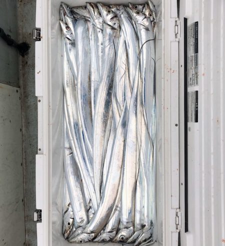 フィッシング キッタカ 釣果