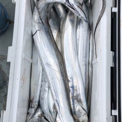 フィッシング キッタカ 釣果