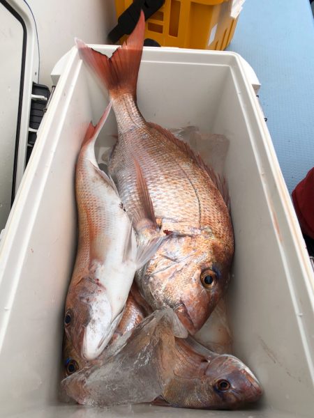 第二八坂丸 釣果