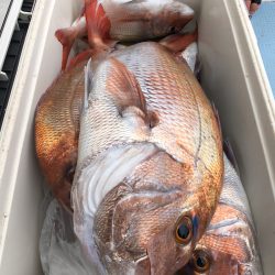 第二八坂丸 釣果