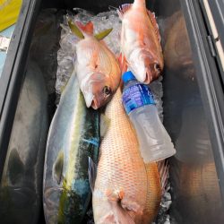 第二八坂丸 釣果