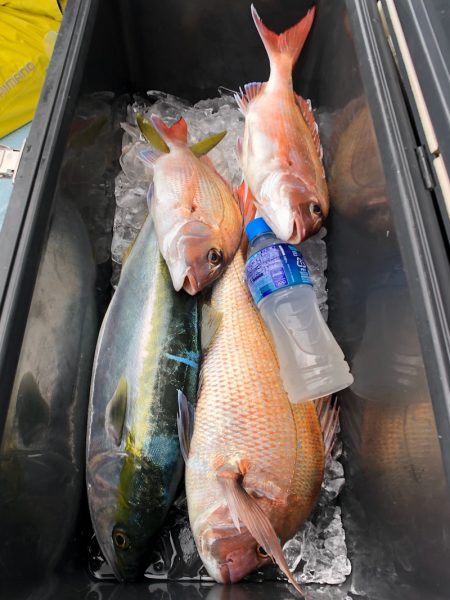 第二八坂丸 釣果