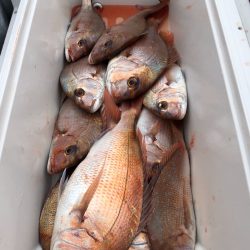 第二八坂丸 釣果