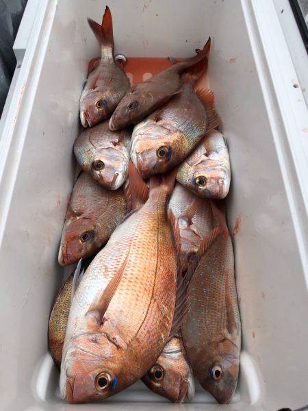 第二八坂丸 釣果