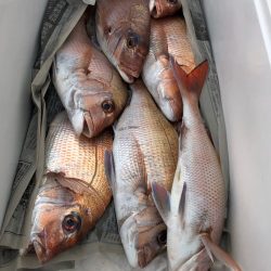 第二八坂丸 釣果