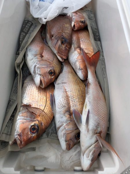 第二八坂丸 釣果