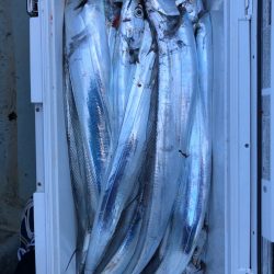 フィッシング キッタカ 釣果