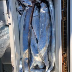 フィッシング キッタカ 釣果