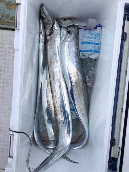 フィッシング キッタカ 釣果