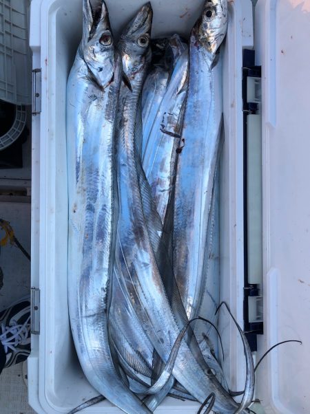 フィッシング キッタカ 釣果