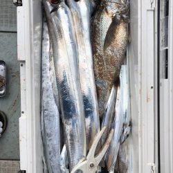 フィッシング キッタカ 釣果