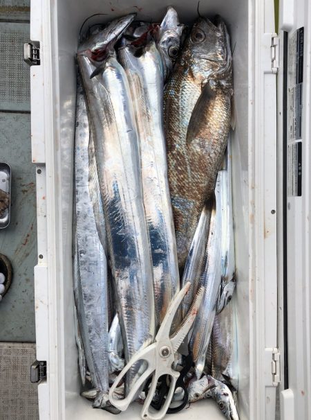 フィッシング キッタカ 釣果