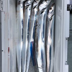 フィッシング キッタカ 釣果