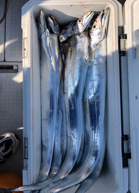 フィッシング キッタカ 釣果